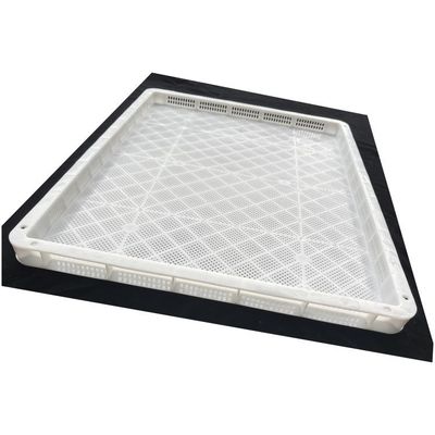 Perforated Food Grade Stackable Plastic Drying Trays Used for Freezing of Fruits Vegetables Seafood Freezing Trays